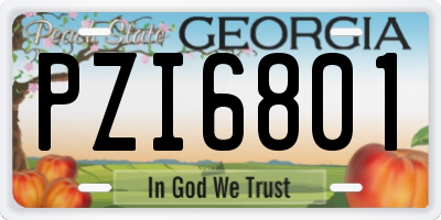 GA license plate PZI6801