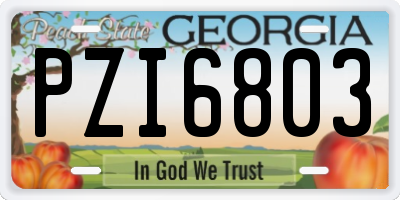 GA license plate PZI6803
