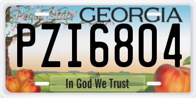 GA license plate PZI6804