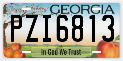 GA license plate PZI6813