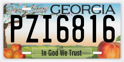 GA license plate PZI6816