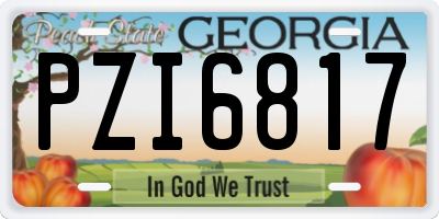 GA license plate PZI6817