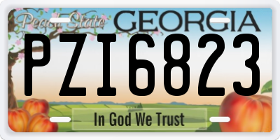 GA license plate PZI6823