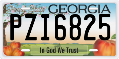 GA license plate PZI6825
