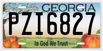 GA license plate PZI6827