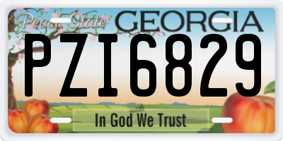 GA license plate PZI6829