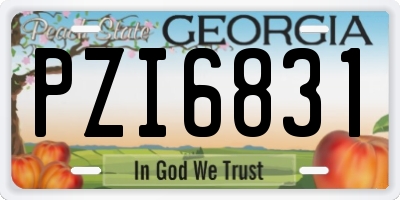 GA license plate PZI6831