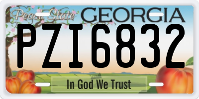 GA license plate PZI6832