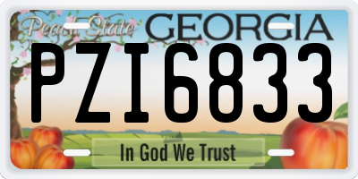 GA license plate PZI6833