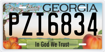 GA license plate PZI6834