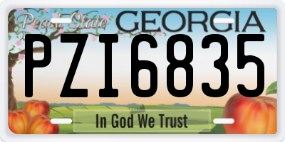 GA license plate PZI6835
