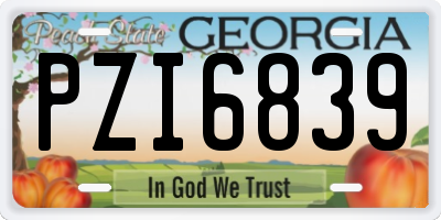 GA license plate PZI6839