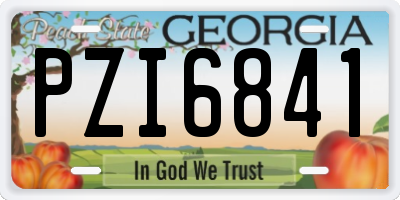 GA license plate PZI6841