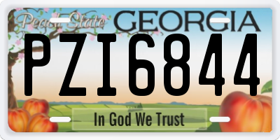 GA license plate PZI6844