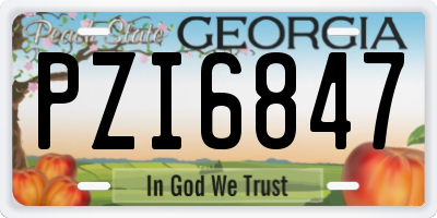 GA license plate PZI6847