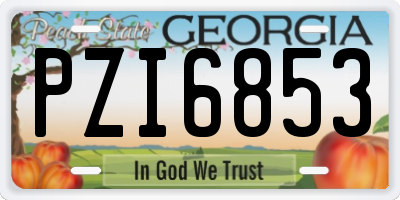 GA license plate PZI6853