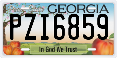 GA license plate PZI6859