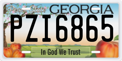 GA license plate PZI6865