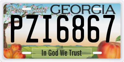 GA license plate PZI6867
