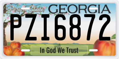GA license plate PZI6872