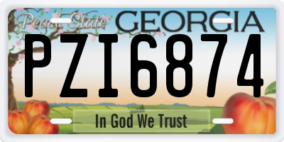 GA license plate PZI6874