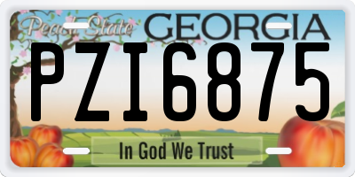 GA license plate PZI6875