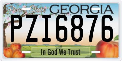 GA license plate PZI6876
