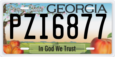 GA license plate PZI6877