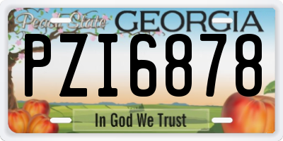 GA license plate PZI6878