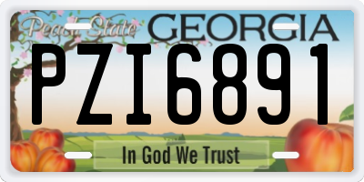 GA license plate PZI6891