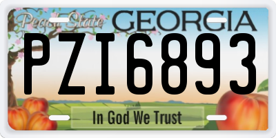 GA license plate PZI6893