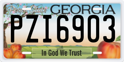 GA license plate PZI6903