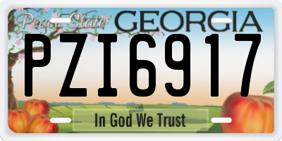 GA license plate PZI6917