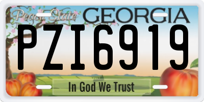 GA license plate PZI6919