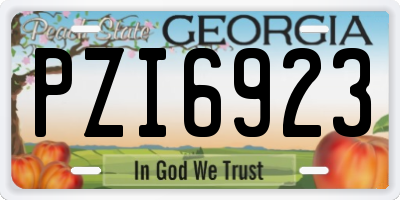 GA license plate PZI6923