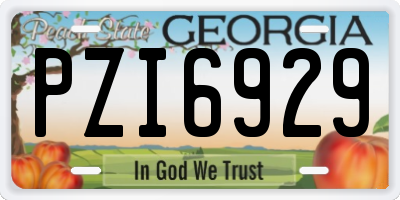GA license plate PZI6929