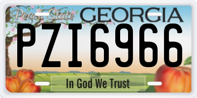 GA license plate PZI6966