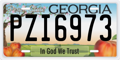GA license plate PZI6973