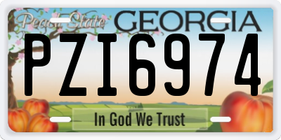 GA license plate PZI6974