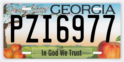 GA license plate PZI6977