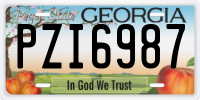 GA license plate PZI6987