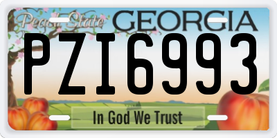GA license plate PZI6993