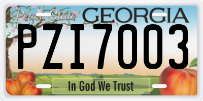 GA license plate PZI7003