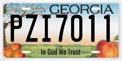 GA license plate PZI7011