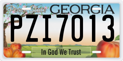 GA license plate PZI7013