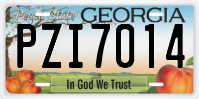 GA license plate PZI7014