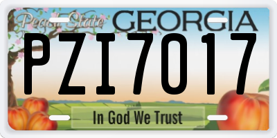 GA license plate PZI7017