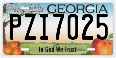 GA license plate PZI7025