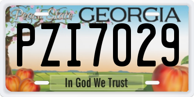 GA license plate PZI7029