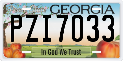 GA license plate PZI7033